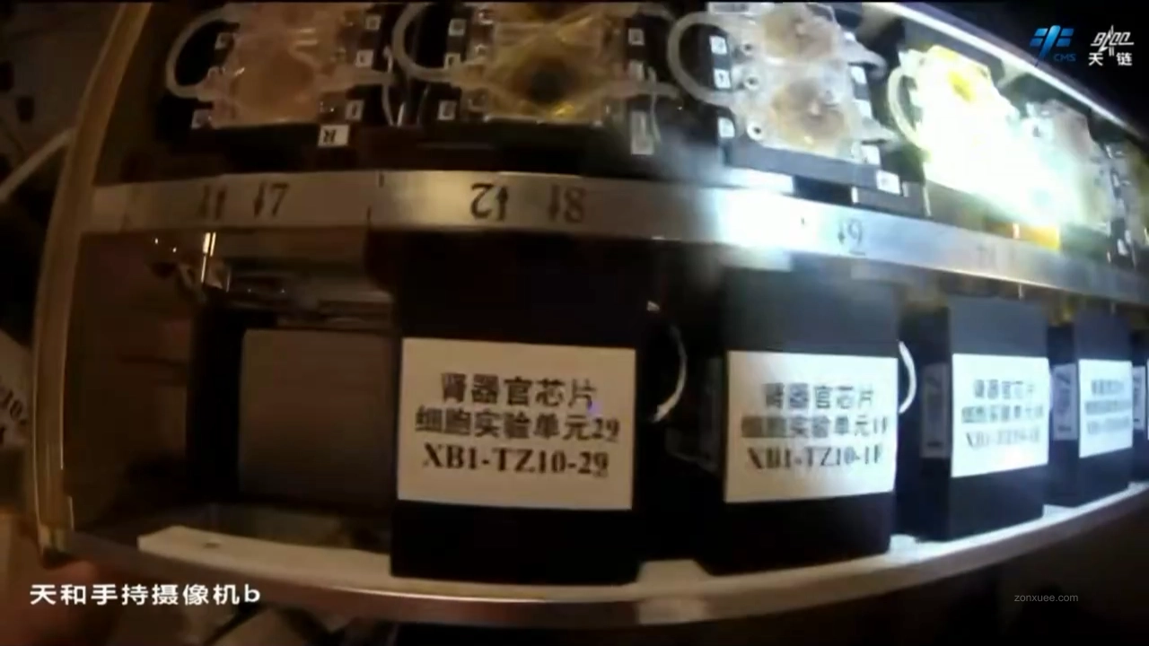 新一批“太空快递”已签收:神二十一乘组在轨近 200 天,41 项科学实验展开